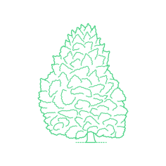 Plants Cypresses Sawara False Cypress Silhouette Cutting Svg Files, Free Vectors File